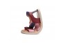 2 - D.D.Step barefoot rozā meiteņu sandales 20-25 i. G076-51334B